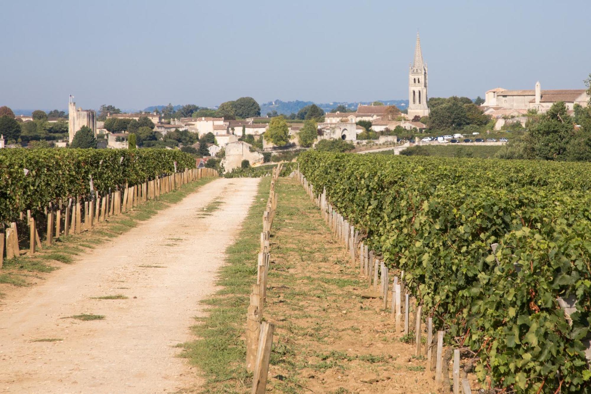 Les Clefs De Troplong Mondot Saint-Émilion Buitenkant foto