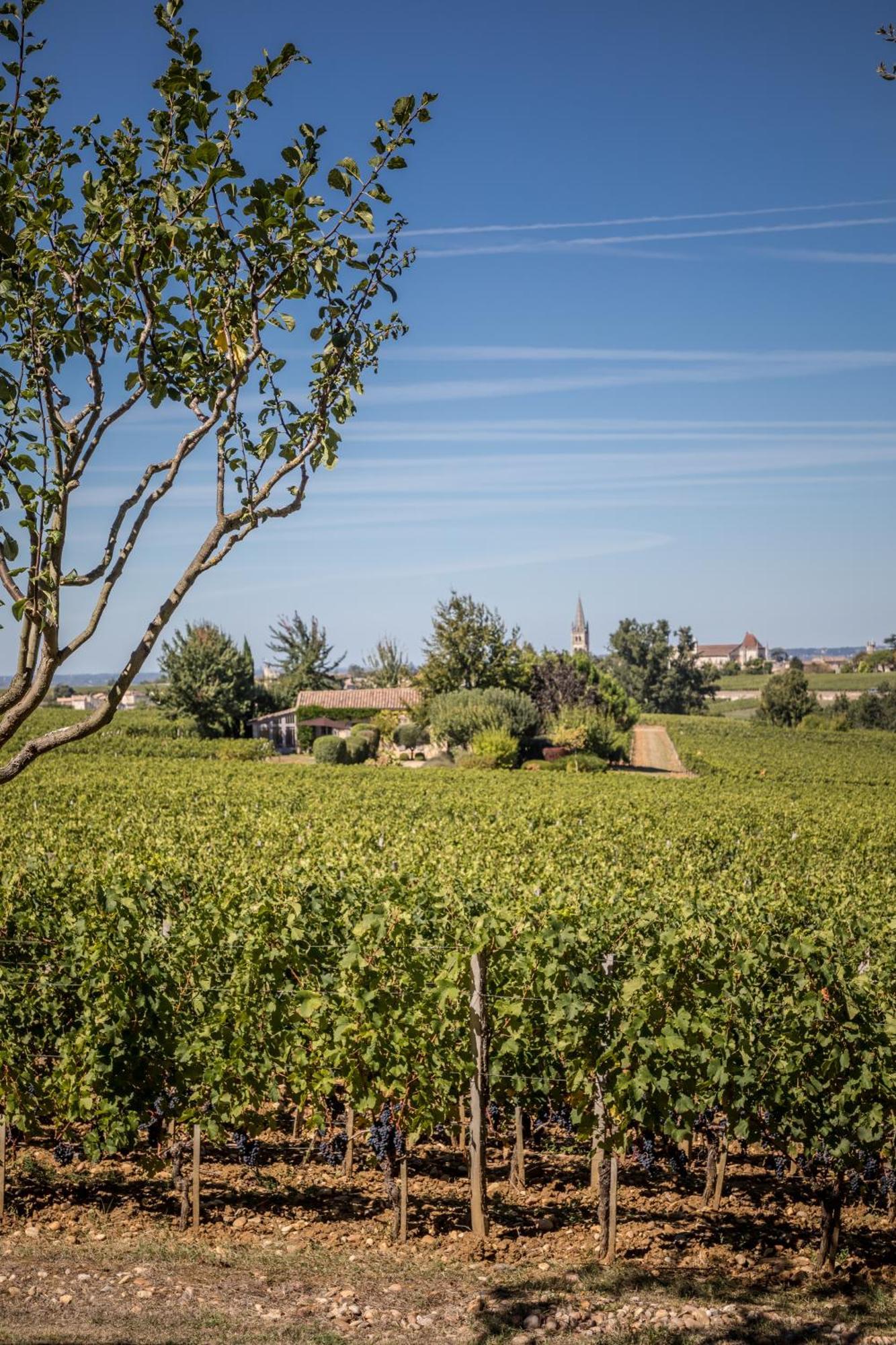 Les Clefs De Troplong Mondot Saint-Émilion Buitenkant foto