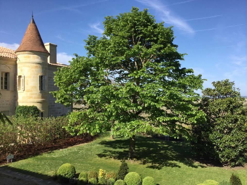 Les Clefs De Troplong Mondot Saint-Émilion Buitenkant foto